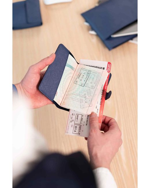 Pack'n Travel Blue Passport Holder Dark