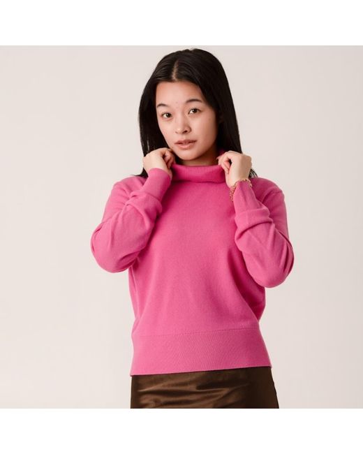 Porridge Knitwear Pink Cashmere Anne Poloneck