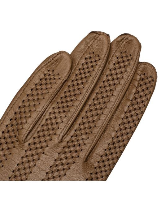 1861 Glove Manufactory Brown Vernazza