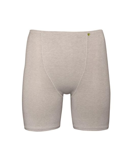 Zd - Zero Defects Gray Neutrals Galatea Short-Leg Panties – Comfort & Thigh Protection With Soy Fiber