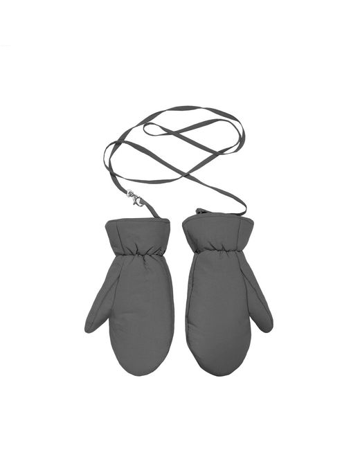 The New Orchard Gray Winter Vegan Gloves
