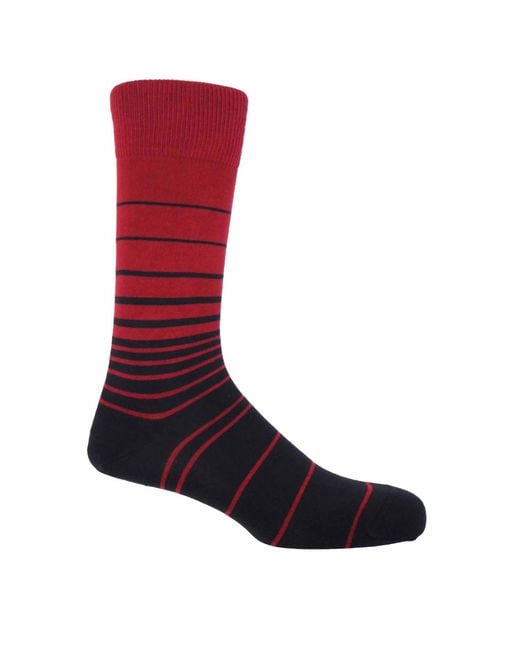 Peper Harow - Made in England Blue Socks Bundle for men