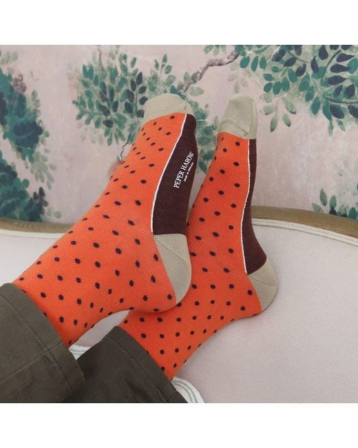 Peper Harow - Made in England Orange Pin Polka Luxury Crew & Trainer Socks Bundle for men