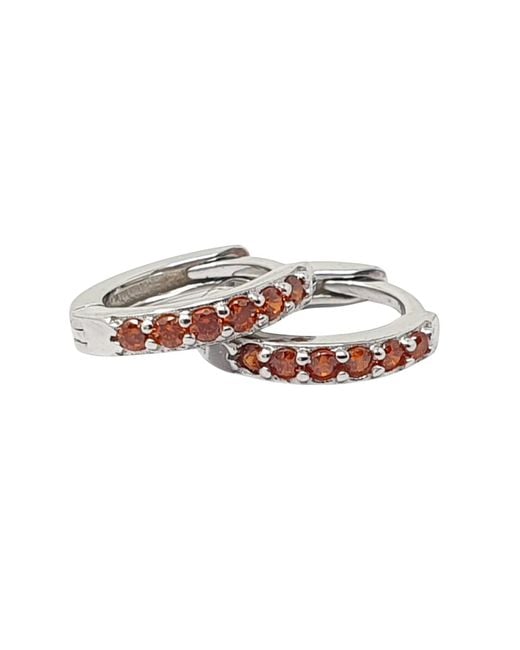 Harfi Multicolor Garnet January Birthstone Small Huggie Hoops