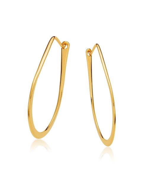 Preeti Sandhu Metallic Aida Hoops