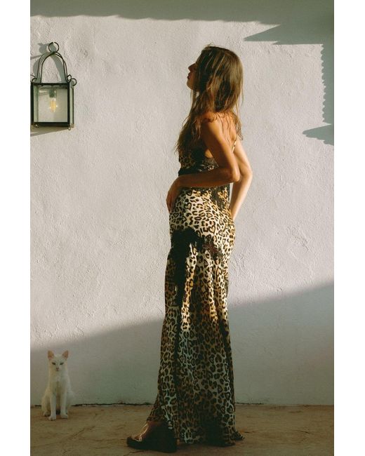 Wild Lovers Brown Honeycomb Dress