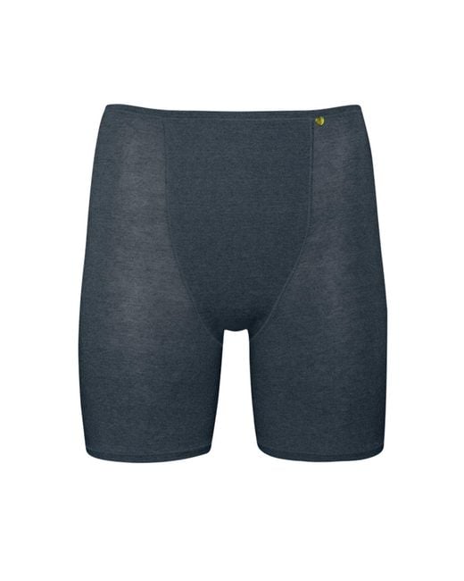 Zd - Zero Defects Blue Galatea Short-Leg Panties – Comfort & Thigh Protection With Soy Fiber