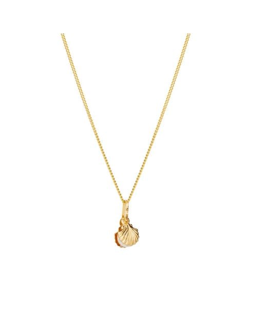 Posh Totty Designs Metallic Gold Pearl & Shell Charm Necklace