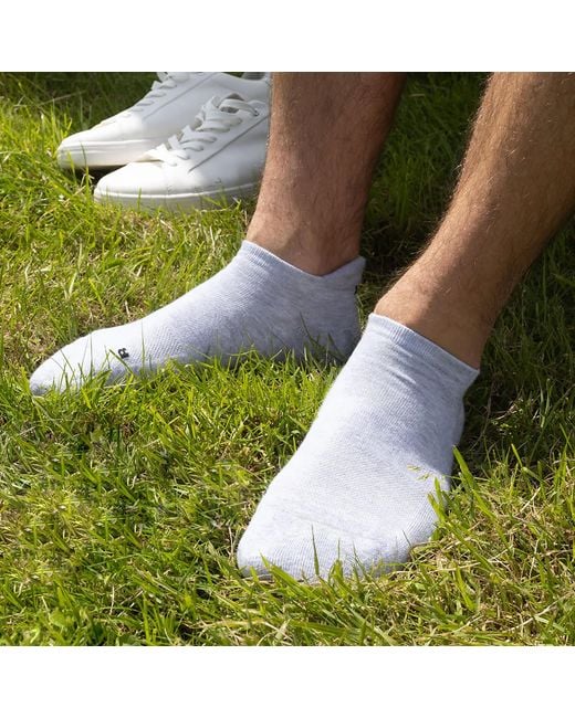 Peper Harow - Made in England Blue Sport Trainer Sock Bundle – Organic for men