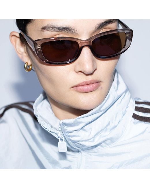 Reality Eyewear Brown Odele