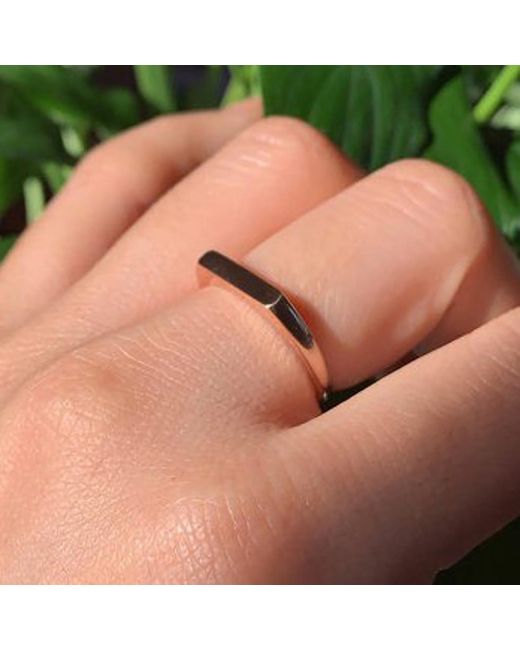 VicStoneNYC Fine Jewelry Natural Harmony Bar Signet Ring