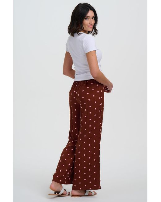 Sugarhill Brown Patsy Palazzo Trousers, Polka
