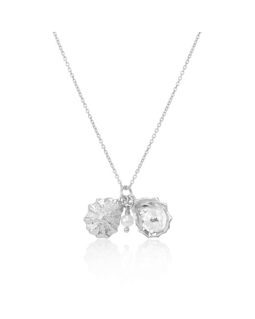 Auree Jewellery Metallic Gaia Oyster Shell And Pearl Necklace