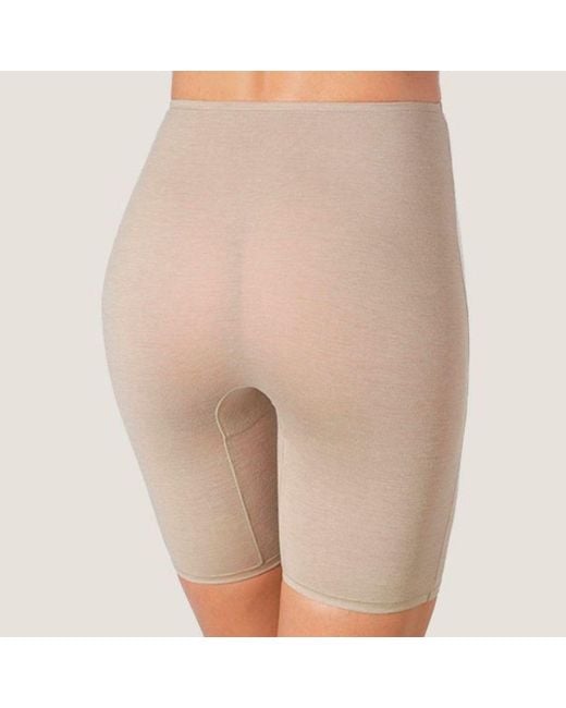Zd - Zero Defects Gray Neutrals Galatea Short-Leg Panties – Comfort & Thigh Protection With Soy Fiber