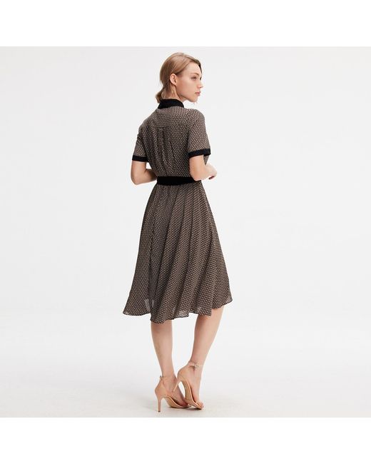 Smart and Joy Brown Printed Shirt Dress Print And Contrasting Collar