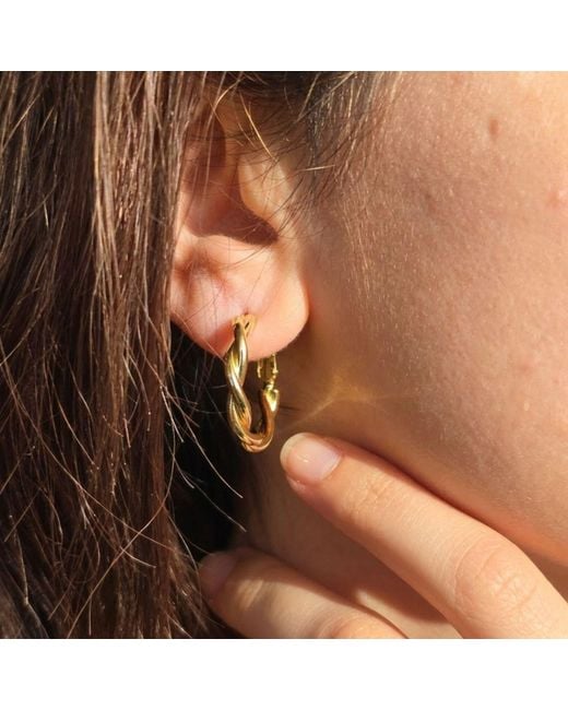 Harfi Metallic Plated Twisted Hoop Everyday Earrings