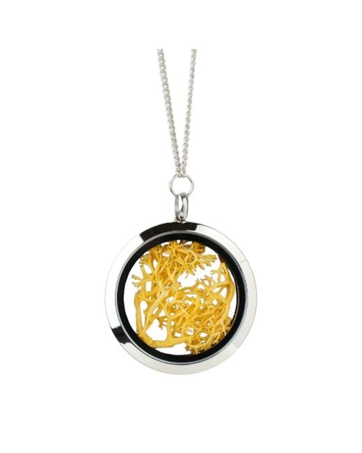 My Little Nature Metallic Handmade Jewelry Necklace With Natural Moss