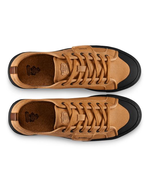 &SONS Trading Co Brown Baseline Tan Low Top for men