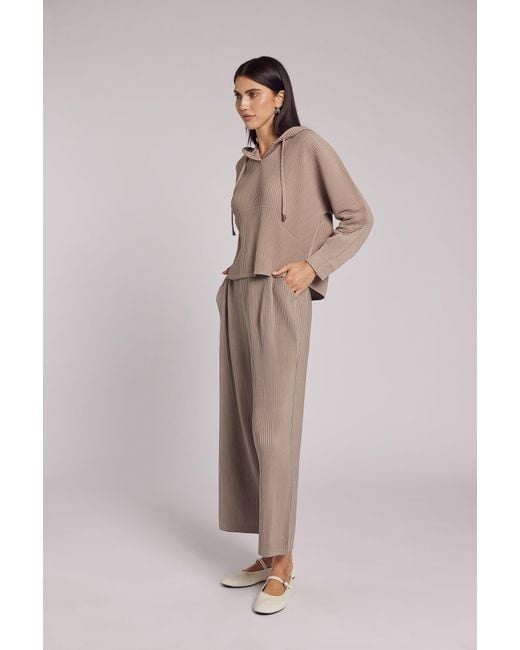 Wild Cosmos Brown Neutrals Vivian Hooded Double Knit Plissé Pull Over