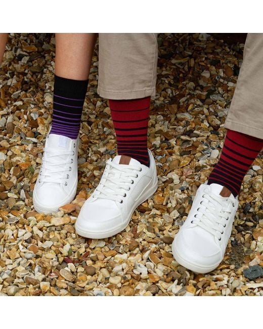Peper Harow - Made in England Blue Socks Bundle for men