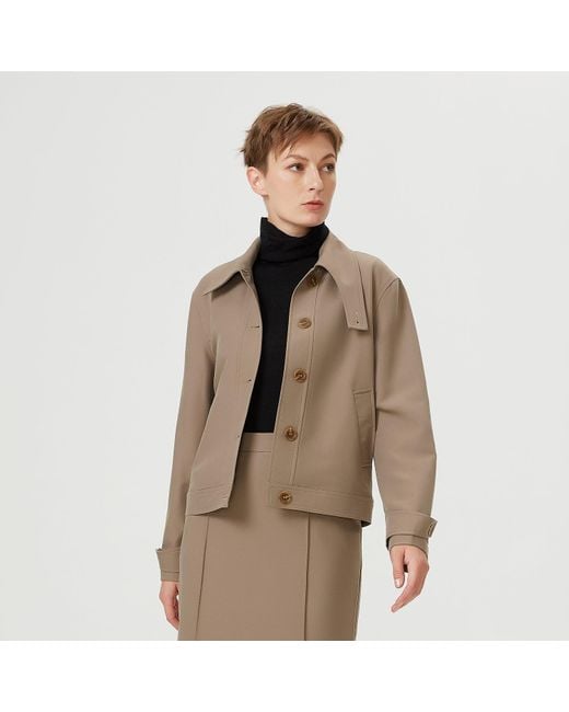 Smart and Joy Gray Buttoned Collar Short Jacket