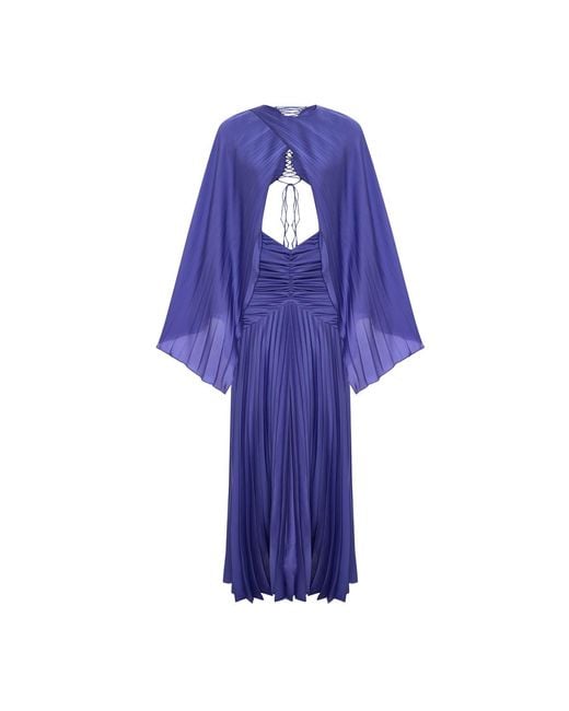 Maison sél Purple Gathered Waist Maxi Dress
