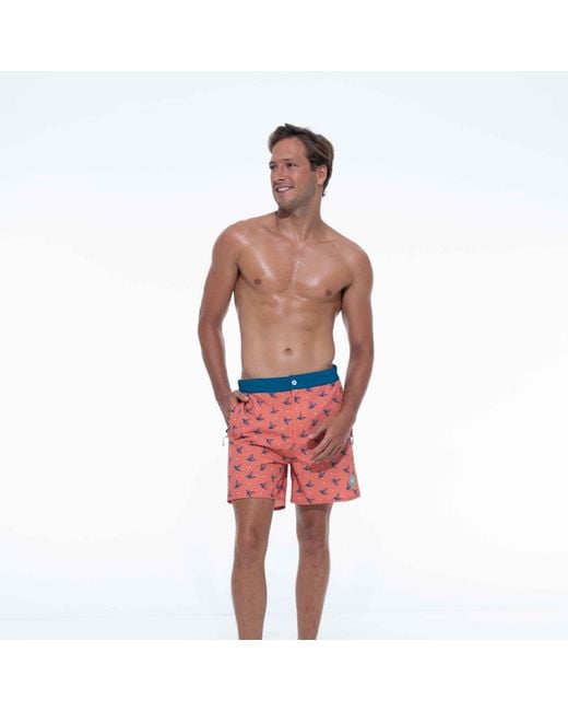 Live Kolibri Orange Luxury Swim Trunks for men