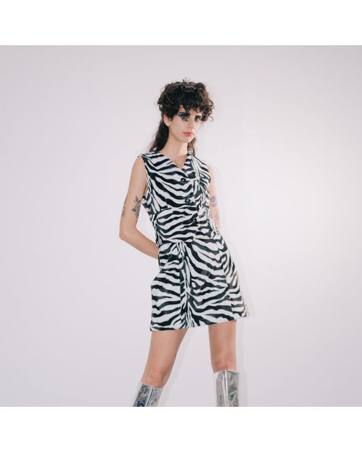 Paloma Lira Multicolor Zebra Fantasy Skirt