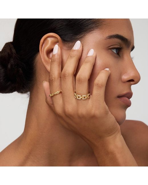Vanhi Metallic Noa Link Ring
