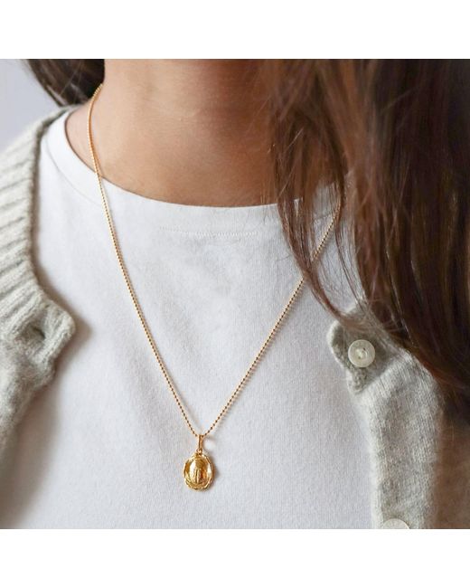 Hye Jane Jewelry Metallic Noor Scarab Necklace