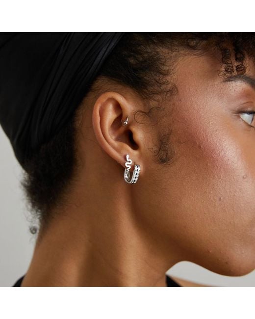 Bermuda Watch Company Metallic Annie Apple Rio Sterling Brushed Snake Stud Earrings