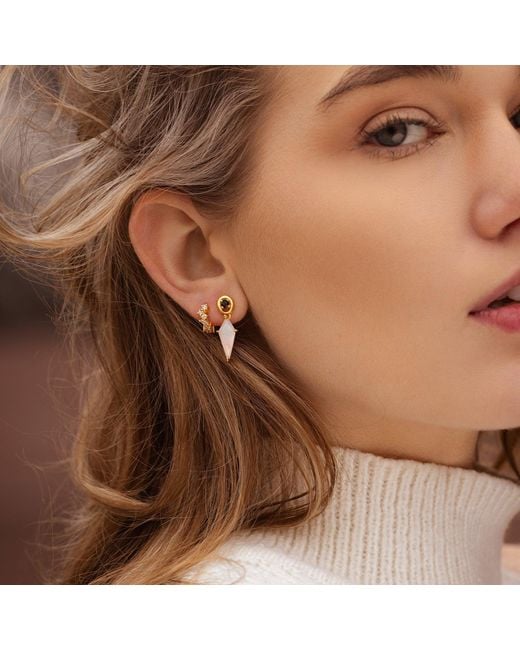 Ptera Jewelry Metallic Luna Earrings
