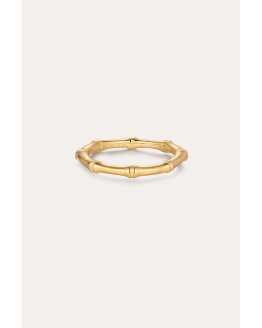 Vanhi Metallic Bamboo Ring