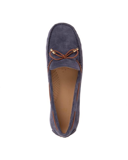 Franchetti Bond Brown Elodie Rich Suede