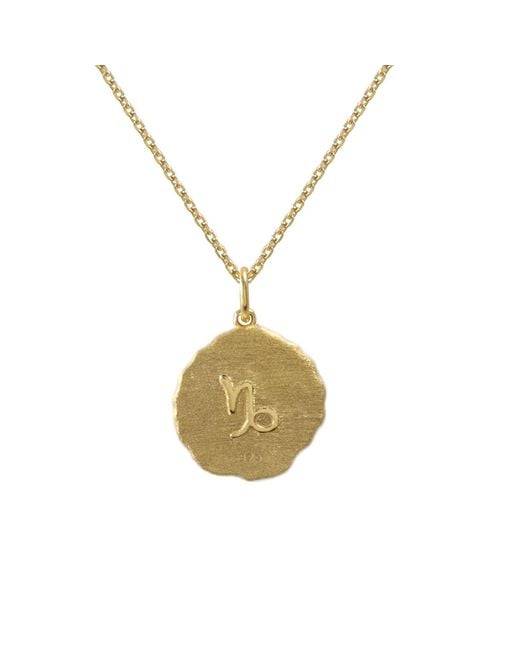 Hye Jane Jewelry Metallic Capricorn Zodiac Necklace