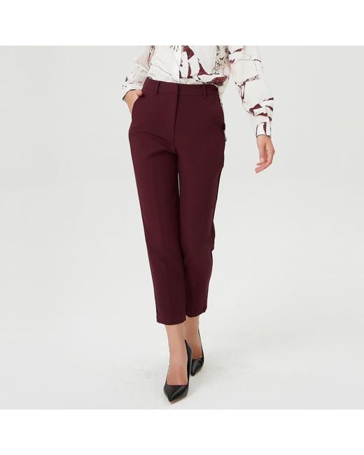 Smart and Joy Tapered Capri Pants -Burgundy