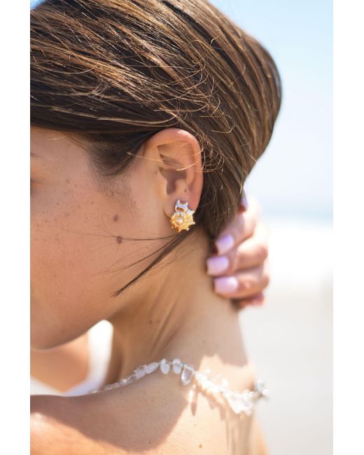 Classicharms Metallic Leah Shell Stud Earrings
