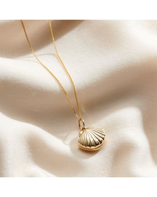 Posh Totty Designs Metallic 9Ct Shell Locket Necklace