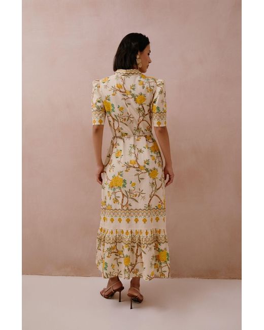 Raishma Metallic Miranda Dress