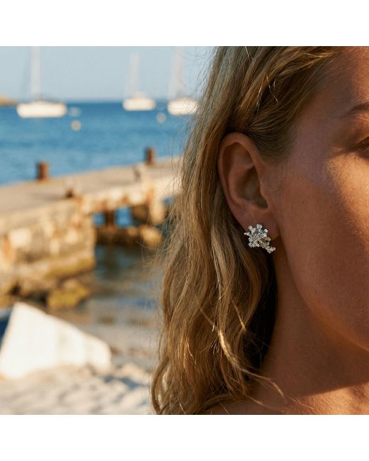 Dainty London Metallic Dainty Saltwater Coral Stud Earrings