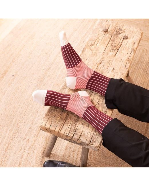 Peper Harow - Made in England Pink Oxford Stripe Burgundy Luxury Crew & Trainer Socks Bundle for men