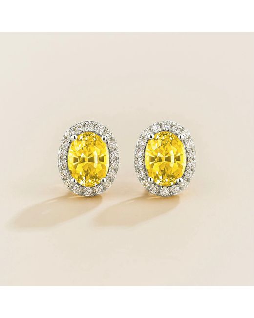 Juvetti Yellow Mina Oval Sapphire & Diamond Halo Earrings