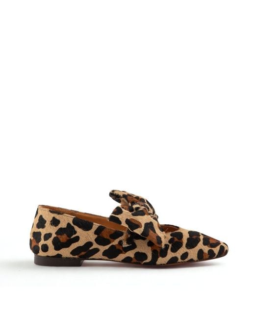 Mariano Shoes Brown Cacia Ballerina Leopard