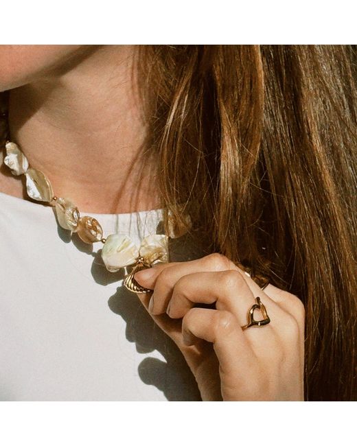 Glassy Metallic Shells Necklace