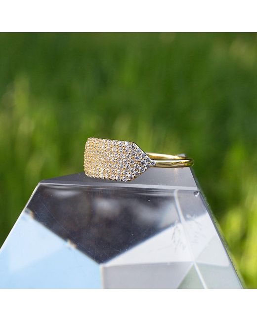 Native Gem Metallic Id Ring