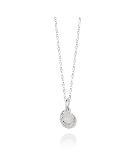 Nellou Jewellery White Ammonite Necklace Sterling