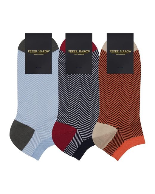 Peper Harow - Made in England Blue Lux Taylor Trainer Socks Bundle – Sky for men