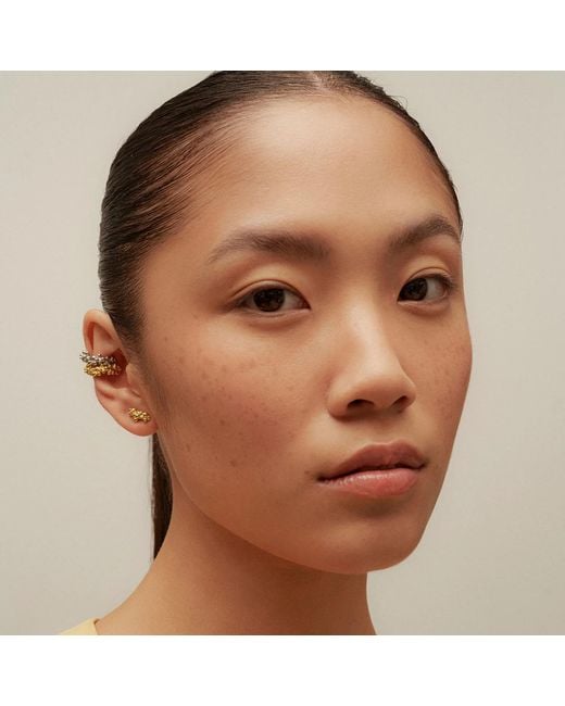 EVA REMENYI Metallic Céleste Deux Caviar Stud Earrings 14K