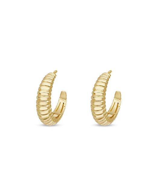 Clemence Wren Metallic Graduating Ridge Hoop Earrings