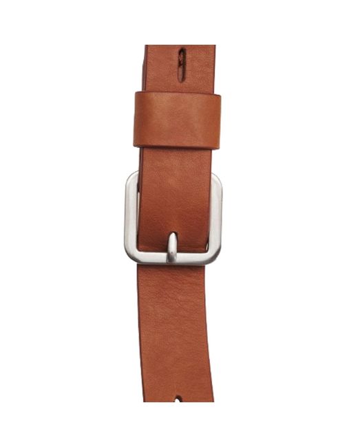 Écotorie Red Dora